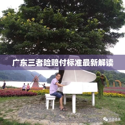 廣東三者險(xiǎn)賠付標(biāo)準(zhǔn)最新解讀