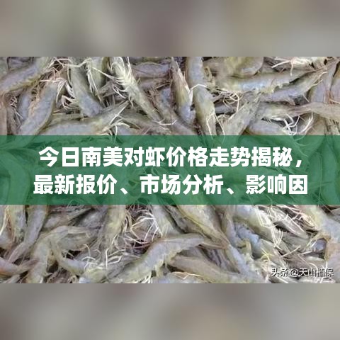 今日南美對蝦價格走勢揭秘，最新報價、市場分析、影響因素探討