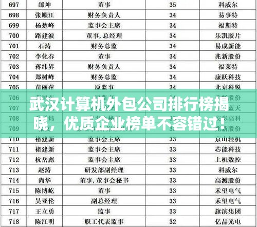 武漢計算機外包公司排行榜揭曉，優(yōu)質(zhì)企業(yè)榜單不容錯過！