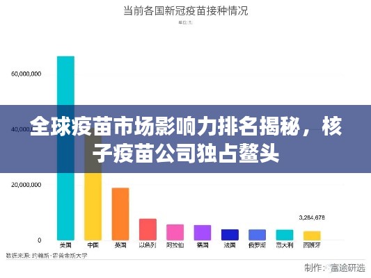 全球疫苗市場影響力排名揭秘，核子疫苗公司獨(dú)占鰲頭