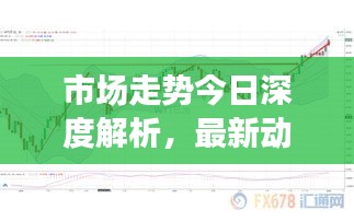 市場走勢今日深度解析，最新動態(tài)一網(wǎng)打盡