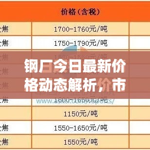 鋼廠今日最新價格動態(tài)解析，市場走勢深度分析