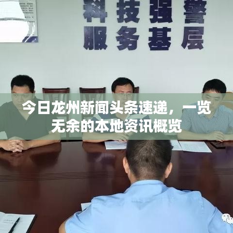 今日龍州新聞?lì)^條速遞，一覽無余的本地資訊概覽