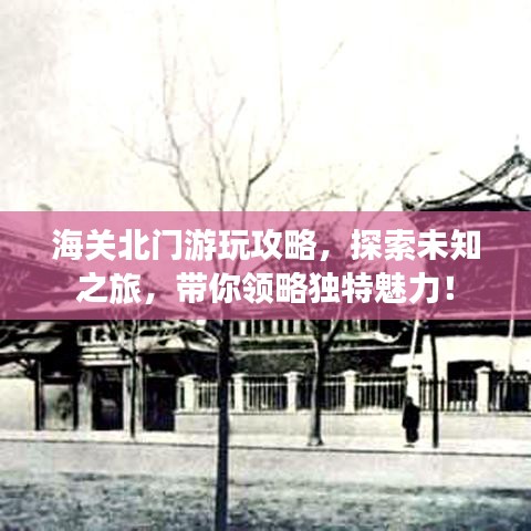 海關北門游玩攻略，探索未知之旅，帶你領略獨特魅力！