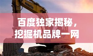 百度獨(dú)家揭秘，挖掘機(jī)品牌一網(wǎng)打盡，深度解析！