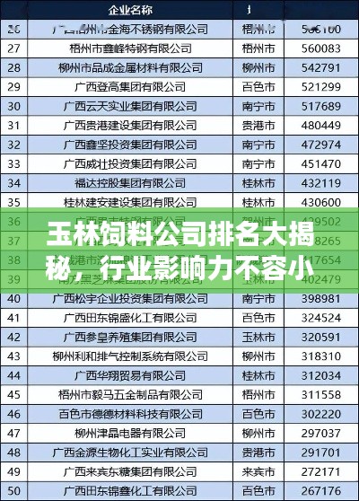 玉林飼料公司排名大揭秘，行業(yè)影響力不容小覷