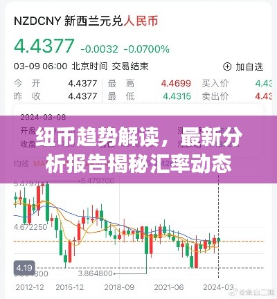 紐幣趨勢(shì)解讀，最新分析報(bào)告揭秘匯率動(dòng)態(tài)