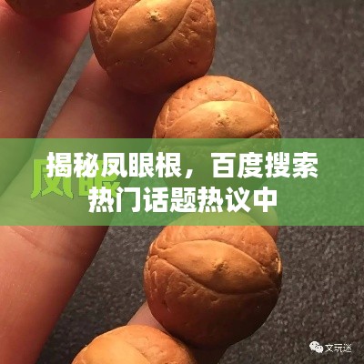 揭秘鳳眼根，百度搜索熱門話題熱議中