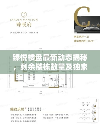 臻悅樓盤最新動態(tài)揭秘，剩余樓棟數(shù)量及獨家消息速遞