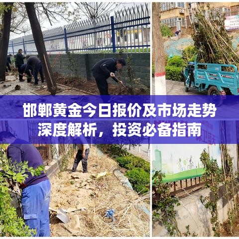 邯鄲黃金今日報價及市場走勢深度解析，投資必備指南