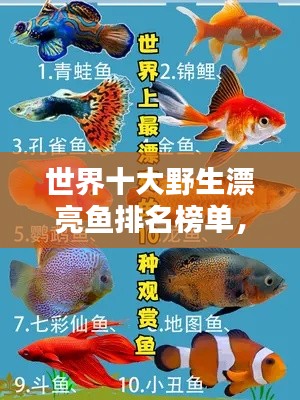 世界十大野生漂亮魚排名榜單，驚艷你的眼球！