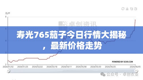 壽光765茄子今日行情大揭秘，最新價格走勢