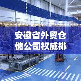 安徽省外貿(mào)倉儲公司權威排名榜單揭曉！