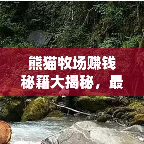 熊貓牧場(chǎng)賺錢(qián)秘籍大揭秘，最新攻略助你打造財(cái)富牧場(chǎng)！