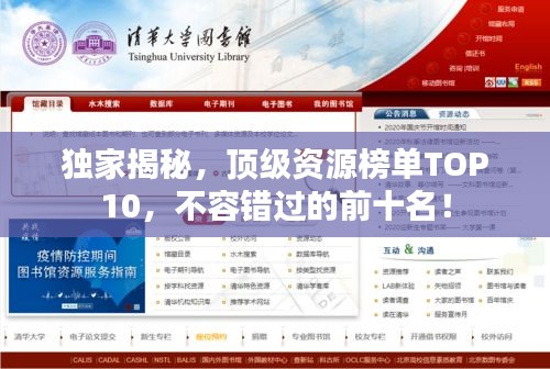 獨(dú)家揭秘，頂級資源榜單TOP10，不容錯過的前十名！