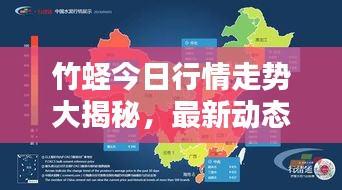 竹蟶今日行情走勢(shì)大揭秘，最新動(dòng)態(tài)一網(wǎng)打盡