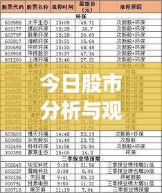 今日股市分析與觀察，最新動(dòng)態(tài)，熱門板塊一網(wǎng)打盡