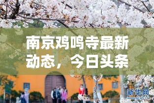 南京雞鳴寺最新動(dòng)態(tài)，今日頭條新聞報(bào)道揭秘！