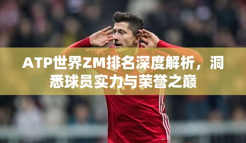 ATP世界ZM排名深度解析，洞悉球員實(shí)力與榮譽(yù)之巔