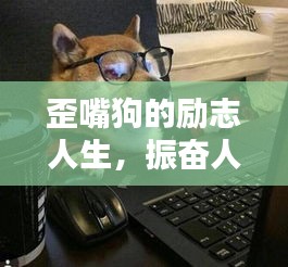 歪嘴狗的勵志人生，振奮人心的名言警句