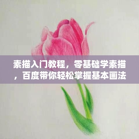 素描入門教程，零基礎(chǔ)學(xué)素描，百度帶你輕松掌握基本畫法