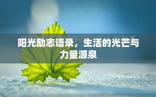 陽光勵志語錄，生活的光芒與力量源泉